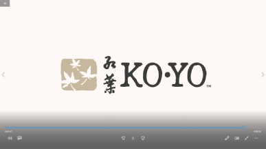 KOYO Massage Chairs - Made in Japan.mp4
