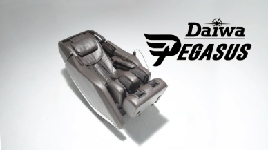 Pegasus Massage Chair.mp4